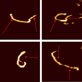 nanomanipulation